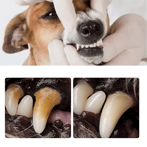 NESLEMY™ Pet Dental Tartar Care Spray for Dogs & Cats